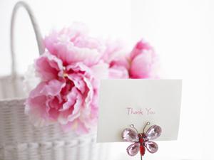 信頼の銀貨販売店ガイド|高品質コインを安心して購入できるポイント